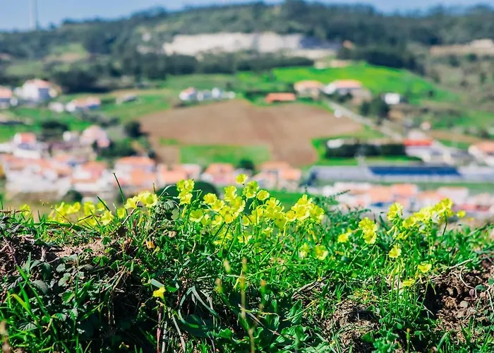 Casa Martins Country No 4 דירה *